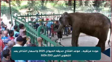 عودة مرتقبة.. موعد افتتاح حديقة الحيوان 2025 وأسعار التذاكر بعد التطوير الكبير GIZA ZOO